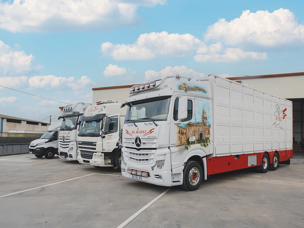 Flota 10 vehiculos El Rayo