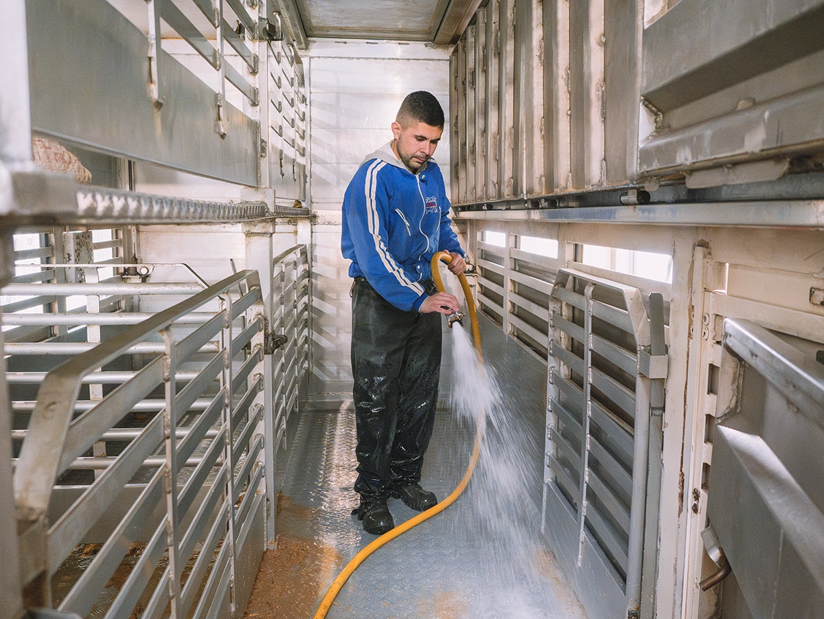 Maxima higiene 2 El Rayo