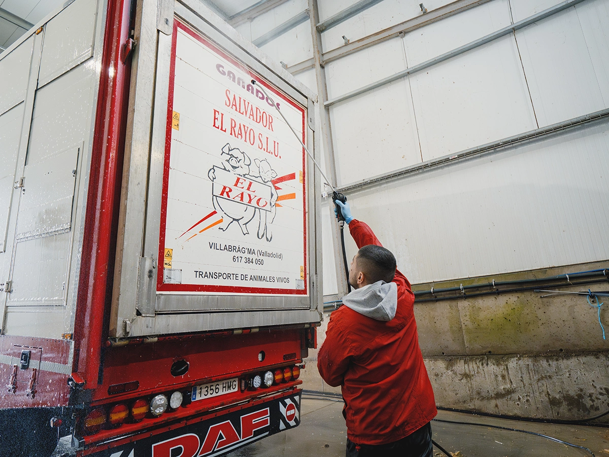 Maxima higiene El Rayo